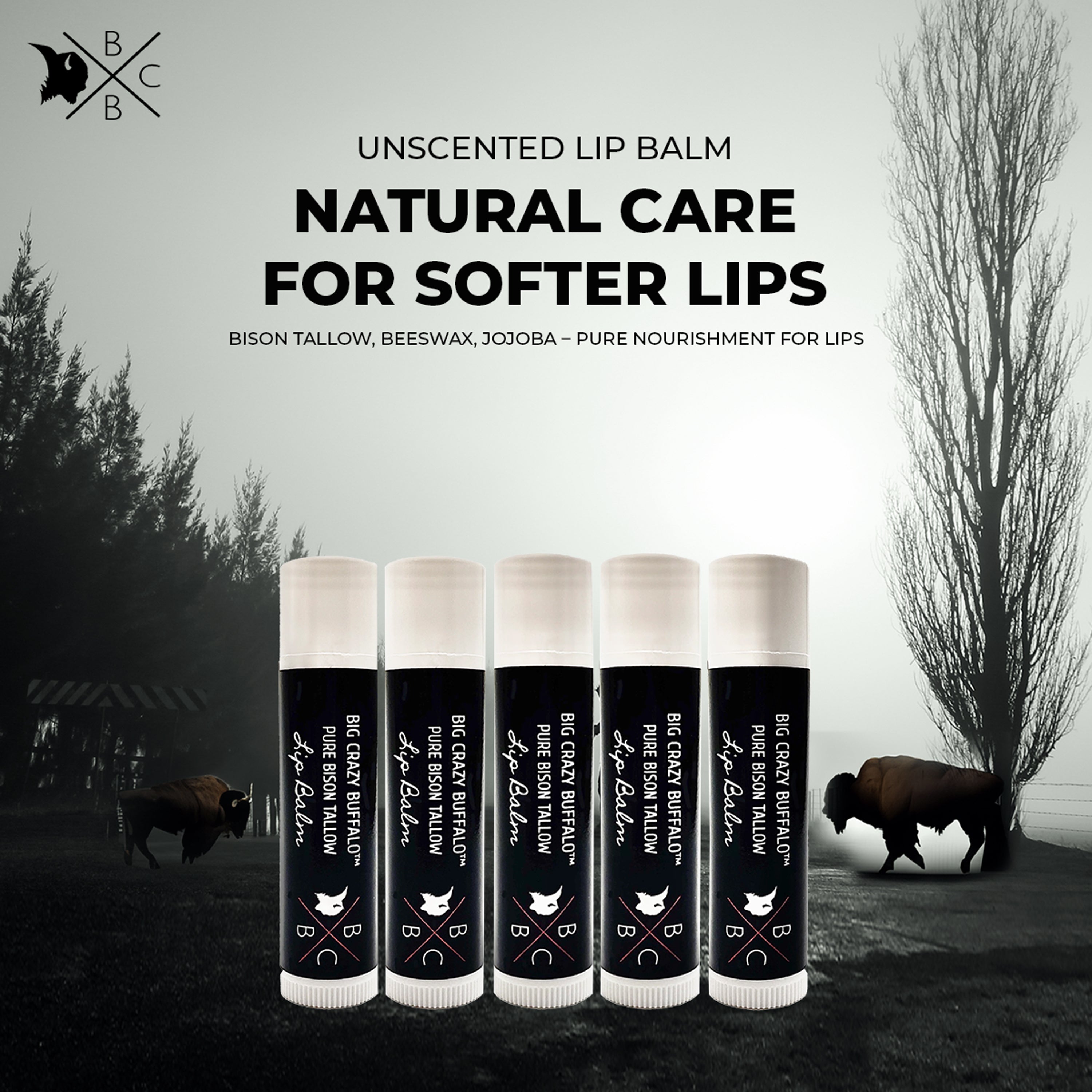 WEBSITE EXCLUSIVE! Unscented - Bison Tallow Lip Balm - 5 Pack