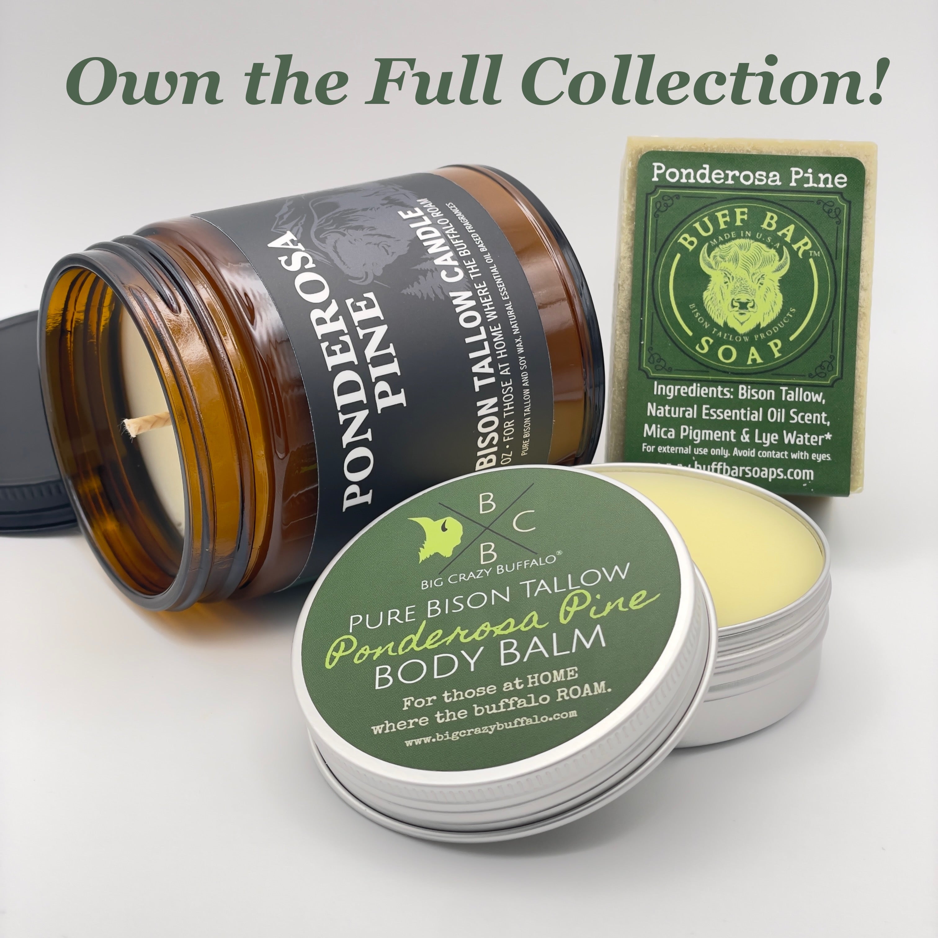 Ponderosa Pine Bison Tallow Body Balm - 2oz